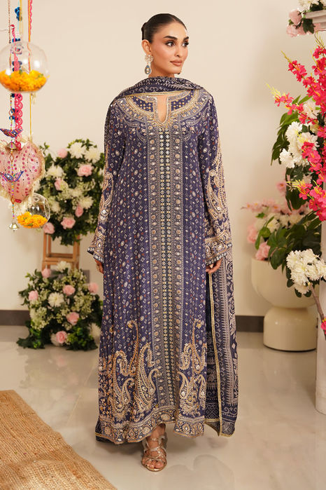 Picture of Amali (Shirt and Dupatta)