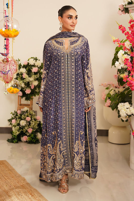 Picture of Amali (Shirt and Dupatta)