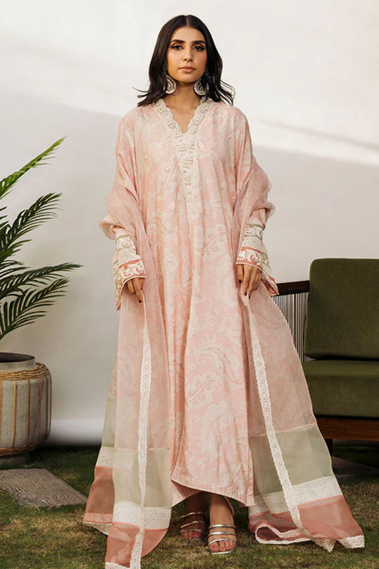 Picture of Najim-RTD