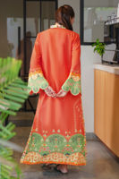 Picture of Tangelo-RTD