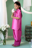 Picture of Gogo-Mini