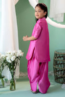 Picture of Gogo-Mini