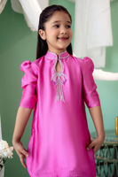 Picture of Gogo-Mini