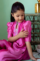 Picture of Gogo-Mini