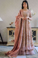 Picture of Aa-Ww-Tr-01