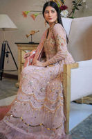 Picture of Aa-Ww-Tr-01