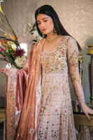 Picture of Aa-Ww-Tr-01