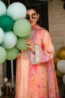 Picture of Neelo ( Shirt and Dupatta)