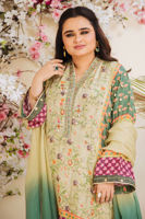 Picture of Diya (Shirt and Dupatta)