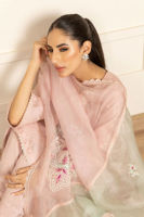 Picture of Rosa - Shirt And Shalwar