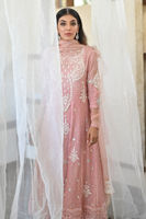 Picture of Salmon Pink