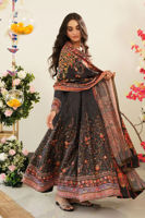 Picture of Sahiba (Shirt and Dupatta)
