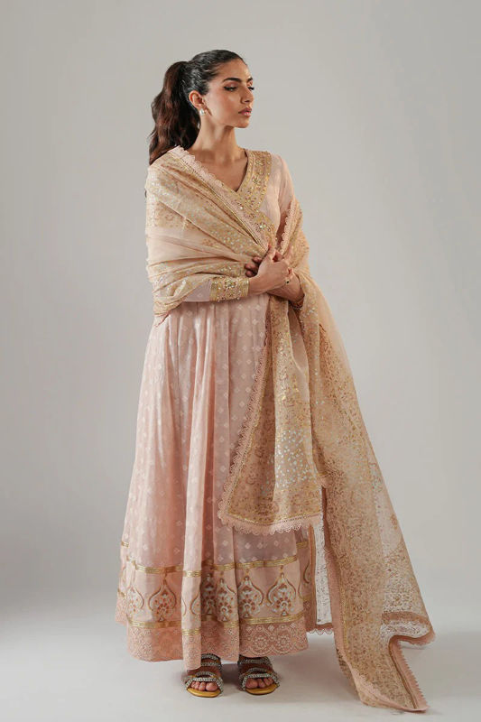 Picture of Inaya ( Shirt and Dupatta)