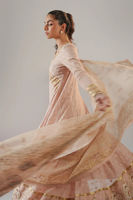Picture of Inaya ( Shirt and Dupatta)