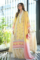 Picture of Malay (Shirt and Dupatta)