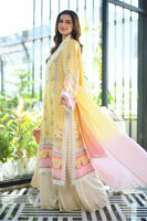 Picture of Malay (Shirt and Dupatta)