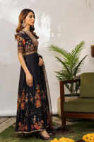 Picture of Kyrah (Shirt and Dupatta)