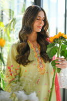 Picture of Mushq (Shirt and Dupatta)