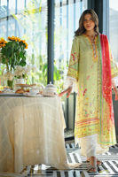 Picture of Mushq (Shirt and Dupatta)