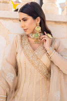 Picture of Miraki Kalidar