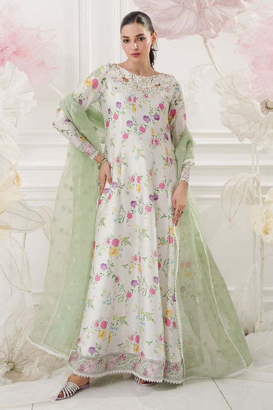 Picture of Mishi (Shirt and Dupatta)