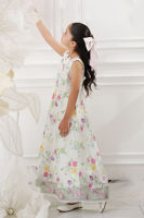 Picture of Mishi Mini