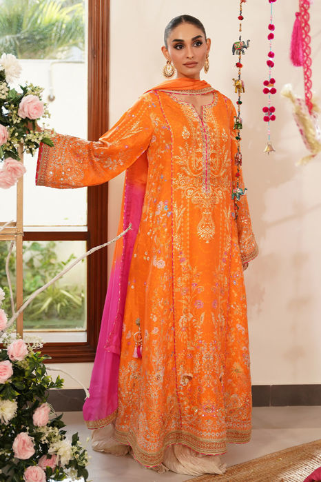 Picture of Meena