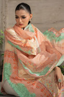 Picture of Amrisa (Shirt and Dupatta)