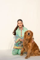 Picture of Mint Chip