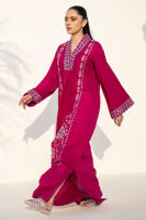 Picture of Fuchsia Freeze