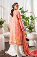 Picture of Shenaya ( Shirt and Dupatta)