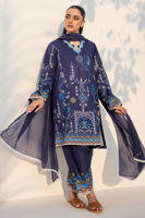 Picture of Berry Grazia