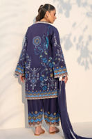 Picture of Berry Grazia