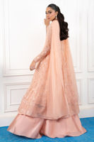 Picture of Maria (Shirt and dupatta)