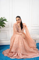 Picture of Maria (Shirt and dupatta)