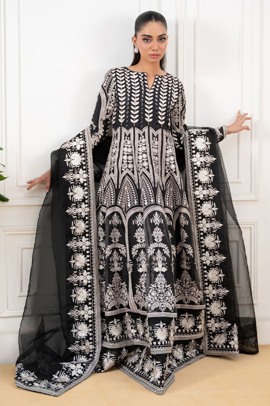Picture of Anarya (Shirt and dupatta)
