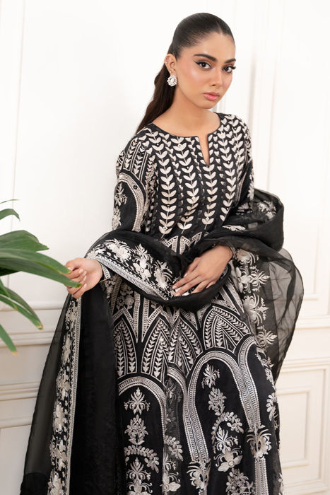 Anarya (Shirt and dupatta)