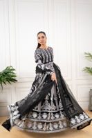 Picture of Anarya (Shirt and dupatta)