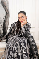 Picture of Anarya (Shirt and dupatta)