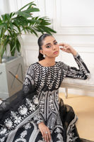 Picture of Anarya (Shirt and dupatta)
