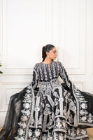 Picture of Anarya (Shirt and dupatta)