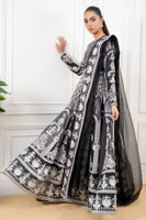 Picture of Anarya (Shirt and dupatta)