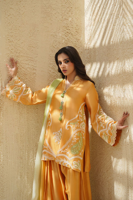 Raiya ( Shirt and Dupatta)