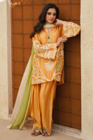 Picture of Raiya ( Shirt and Dupatta)