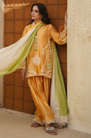Picture of Raiya ( Shirt and Dupatta)