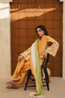 Picture of Raiya ( Shirt and Dupatta)