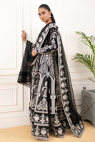 Picture of Anarya (Shirt and dupatta)