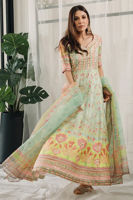 Picture of Haya ( Shirt and Dupatta)