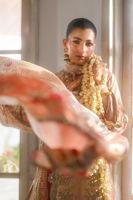 Picture of Rivana (Shirt and Dupatta)