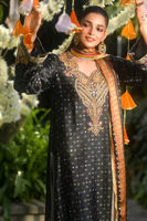 Picture of Nareen (Shirt and Dupatta)
